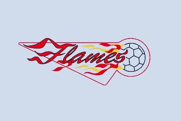 Logo Flames